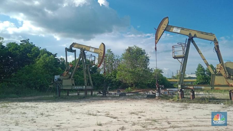 SKK Migas Bakal Diganti Jadi Badan Usaha Khusus, Ini Kata ESDM