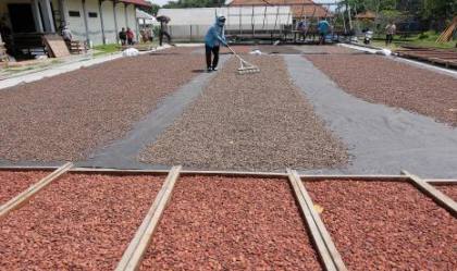Pemerintah Petakan 28 Komoditas untuk Hilirisasi hingga 2045