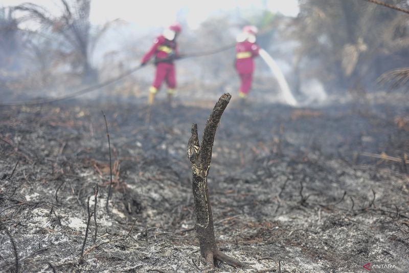 KLH pastikan karthula ditangani masif cegah kabut asap lintas negara
