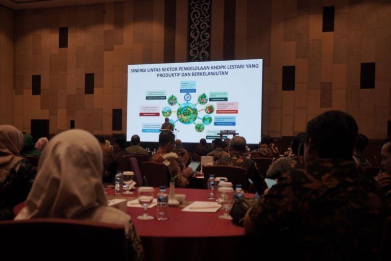 Kemenhut: Pengelolaan KHDPK jaga fungsi ekologis dan pemulihan hutan
