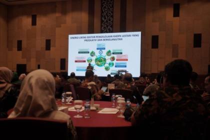 Kemenhut: Pengelolaan KHDPK jaga fungsi ekologis dan pemulihan hutan