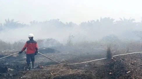 Jepang Kirim 3 Helikopter CH-47 dan 600 Personel SDF Bantu Padamkan Karhutla Kalimantan