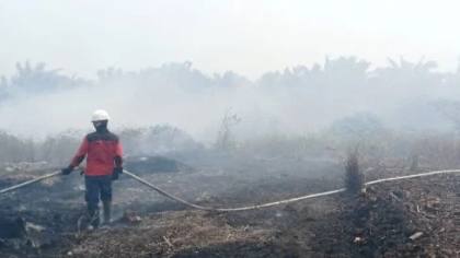 Jepang Kirim 3 Helikopter CH-47 dan 600 Personel SDF Bantu Padamkan Karhutla Kalimantan