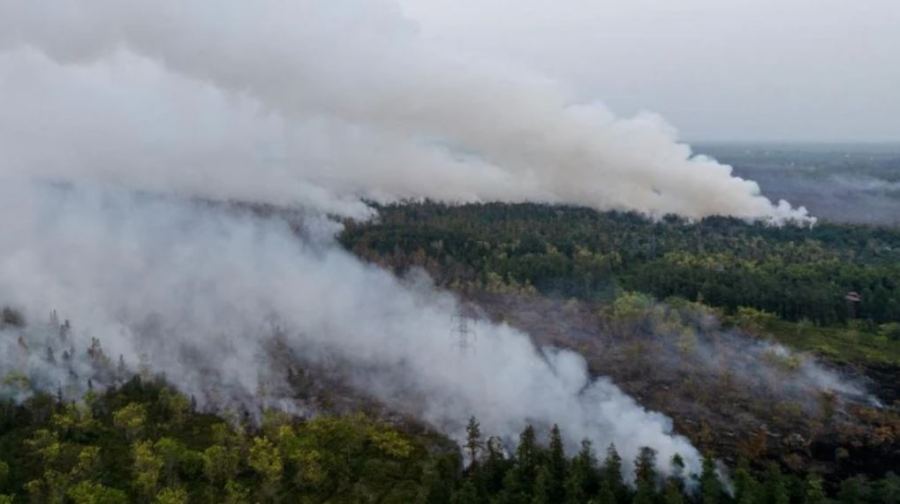 Kabut Asap Kalimantan Tembus Malaysia! Ini Update Terkini dan Daftar Wilayah Indonesia yang Dikepung Karhutla