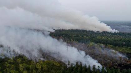 Kabut Asap Kalimantan Tembus Malaysia! Ini Update Terkini dan Daftar Wilayah Indonesia yang Dikepung Karhutla