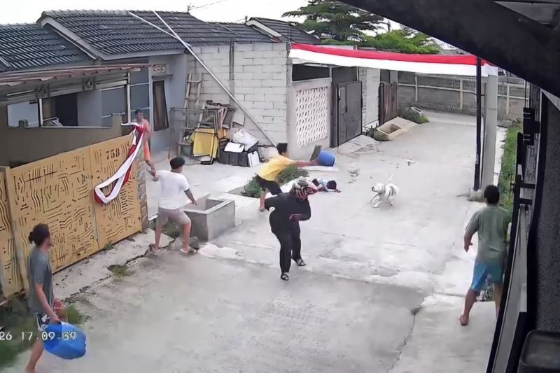 Anak sembilan tahun terluka diserang anjing pitbull di Bandung
