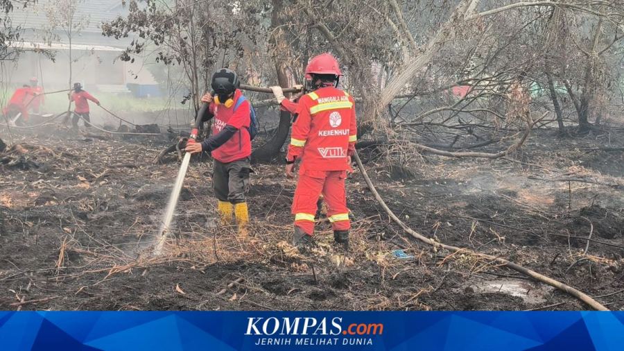 Kisah Pasukan Manggala Agni Berjibaku di Tengah Kepungan Api dan Asap Karhutla