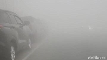 Asap Pekat Selimuti Kotawaringin Barat, Warga: Seperti Hidup di Atas Awan