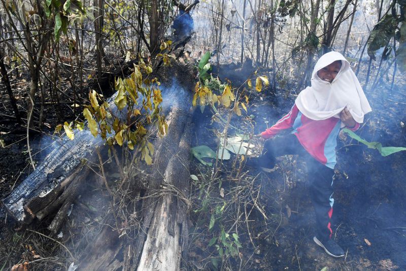 KemenHAM dorong penanganan karhutla tak kriminalisasi warga kecil