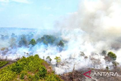 Kemlu: Dampak kabut asap ditangani demi jaga hubungan di kawasan