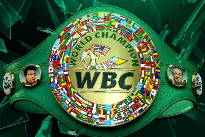WBC rilis peringkat tinju putra, Jepang dominasi tiga divisi