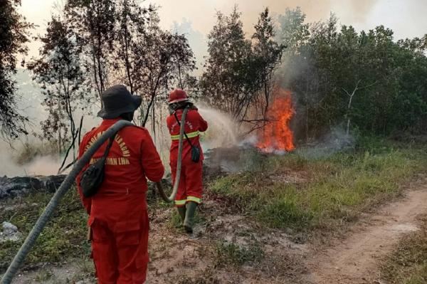Bertambah, Jumlah Tersangka Kasus Karhutla Capai 89 Orang