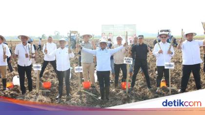 Bupati Andi Asman Siapkan 510 Hektare Lahan Jadikan Bone Lumbung Tebu
