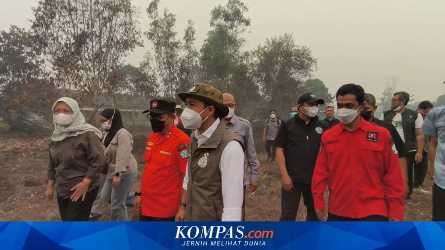 Pesawat Sempat Delay karena Asap, Menhut Tiba di Kalbar untuk Cek Titik Karhutla