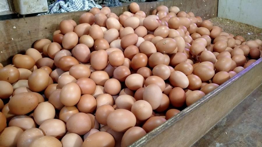 Harga Pangan Hari Ini: Telur Naik Rp 2.000 di Pasar Kebayoran Lama