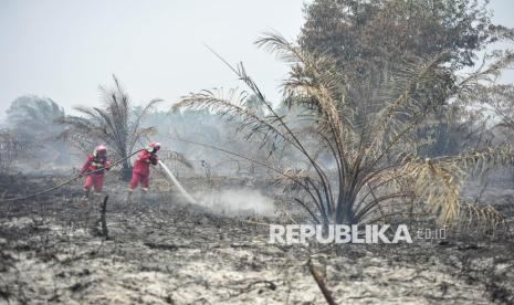 Cegah Karhutla, Perusahaan Diminta Tingkatkan Patroli dan Kewaspadaan Tinggi