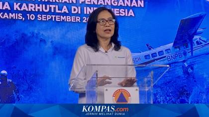 Kemenkes Catat 113.336 Kasus ISPA di 7 Provinsi Terdampak Karhutla