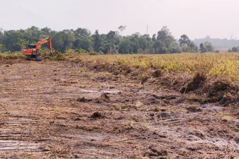 APHI dukung Inpres larangan pembukaan lahan dengan cara membakar
