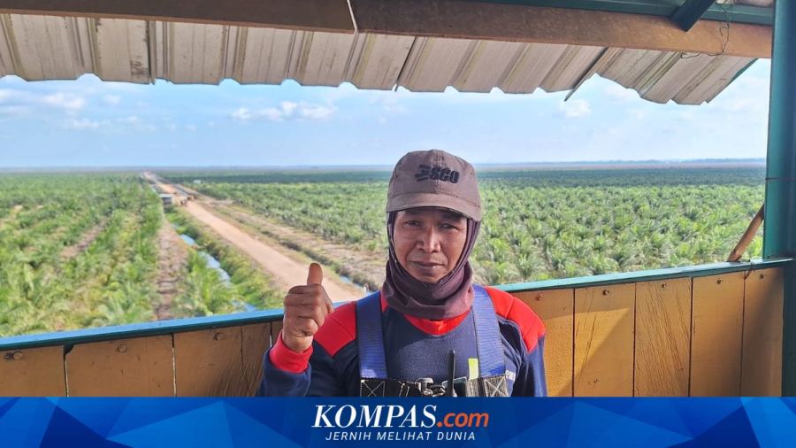 Kisah Kisruh, Pasang Mata Cegah Karhutla dari Menara Api