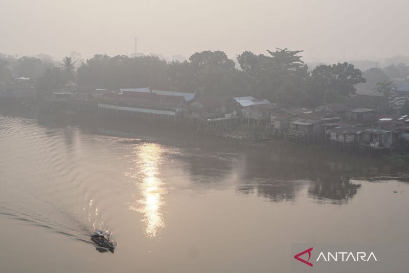 Dampak kebakaran hutan bagi lingkungan yang jarang disadari