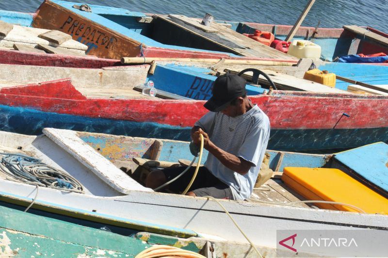 BNPB: Nelayan Ngada kembali beraktivitas pascagempa M7,7 Flores