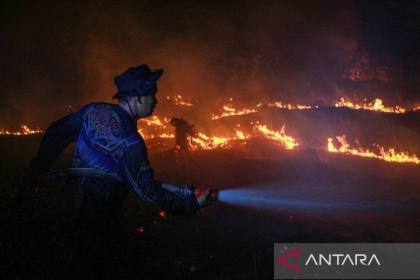 BNPB minta warga cek ISPU karhutla di Kalimantan dan Sumatera