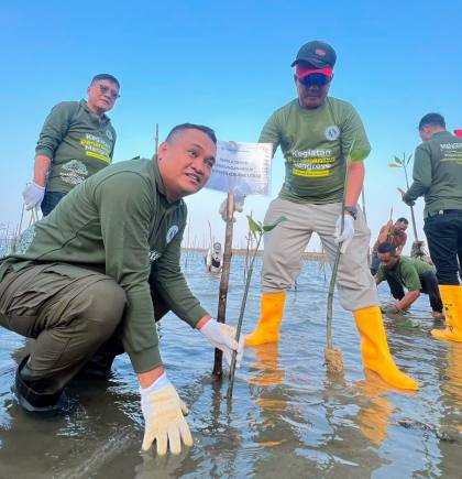 DLH Konawe Utara dan PT KNN Hijaukan Lingkungan, Tanam 5.000 Mangrove di Pesisir Lasolo