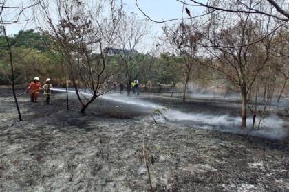 Gulkarmat: Cuaca panas picu kebakaran lahan di Jakarta Utara
