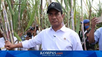 Kejar Swasembada Gula 2 Tahun, Pemerintah Siapkan Rp 1,7 Triliun untuk Peremajaan Pohon Tebu