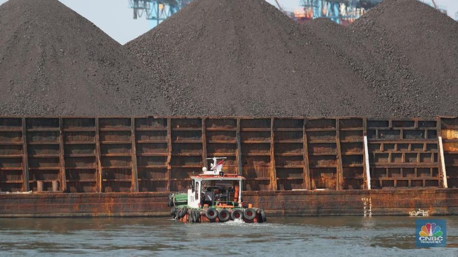 Sungai Kapuas Mengering, Aktivitas Angkut Batu Bara Mulai Terdampak