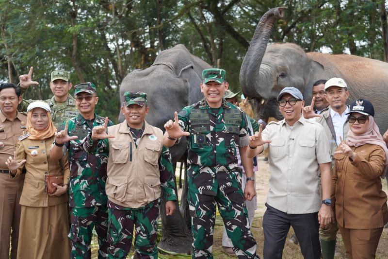 Pangdam: Pendekatan lingkungan diterapkan cegah konflik manusia-gajah