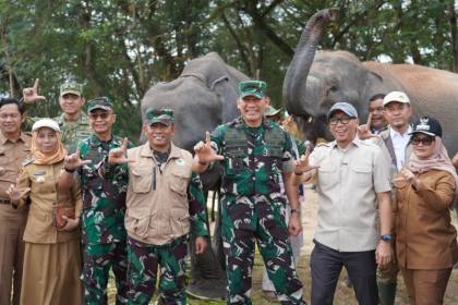 Pangdam: Pendekatan lingkungan diterapkan cegah konflik manusia-gajah
