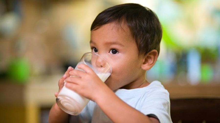 Ini Pilihan Pengganti Susu Sapi Anak yang Tak Kalah Bergizi
