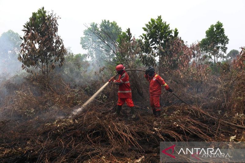 Pemprov Kalbar perpanjang status darurat asap hingga 20 September