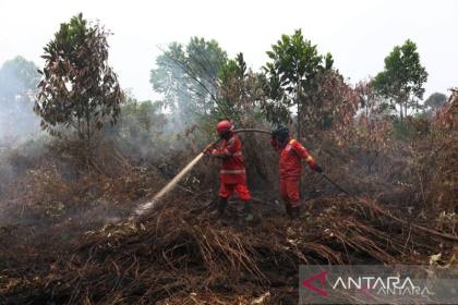 Pemprov Kalbar perpanjang status darurat asap hingga 20 September
