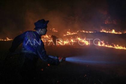Menhut: Hotspot naik, Kalbar dan Kalteng prioritas penanganan karhutla