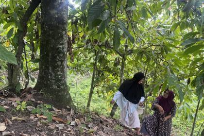 Beutong Ateuh: Belum pulih dari banjir bandang, izin tambang datang