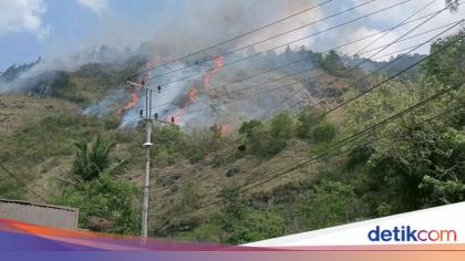 Kebakaran di Gunung Lakawan Enrekang 3 Hari Belum Padam, 70 Ha Lahan Hangus