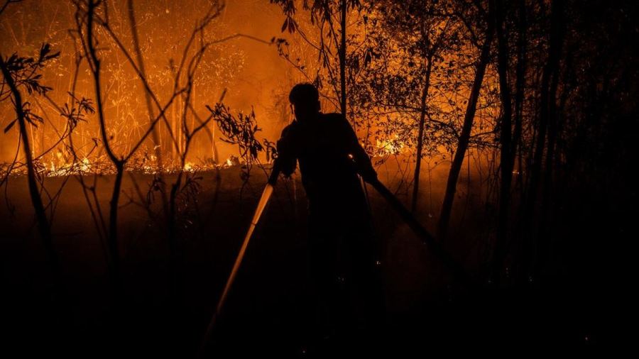 Update Korban Karhutla di Enam Provinsi: 4 Meninggal, 347 Luka-luka