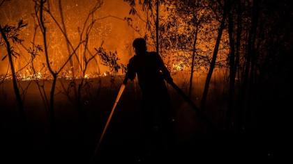 Update Korban Karhutla di Enam Provinsi: 4 Meninggal, 347 Luka-luka