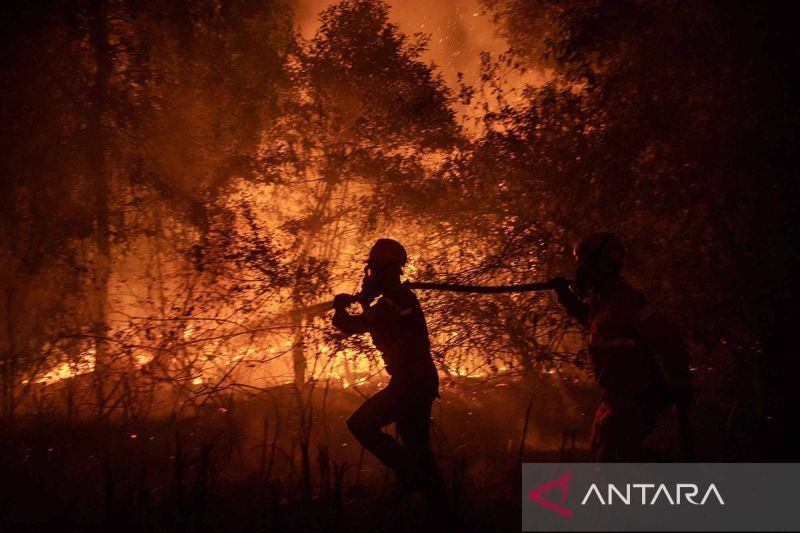 Cek fakta, foto Jokowi ke lokasi kebakaran hutan pada September 2026