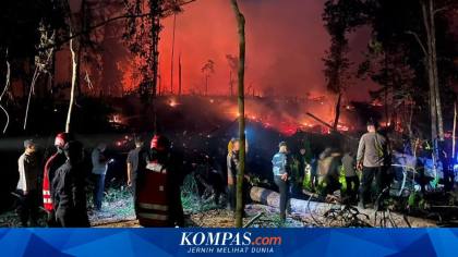 Musim Bakar-bakar Lahan dan Hutan