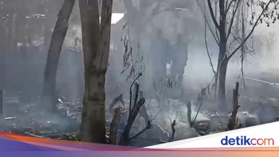 Lahan di Parepare Terbakar Diduga gegara Puntung Rokok Siswa Bolos Sekolah