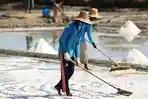 Pemerintah Siapkan Rp 171,7 Triliun, Targetkan Setop Impor Garam Sepenuhnya pada 2029