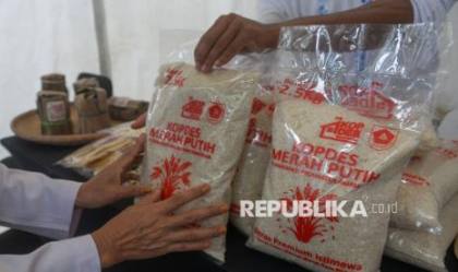 Kemenkop Dorong Koperasi Naik Kelas Lewat Akses Pasar Global
