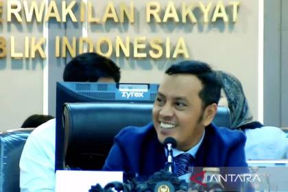 Tidak hanya Bali, Komisi XIII minta patroli WNA diperluas ke sejumlah daerah