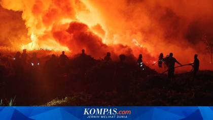 Kemenhut Sanksi 6 Perusahaan Penyebab Karhutla di Kalimantan