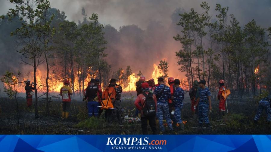 Bencana Karthutla, Anggota DPR: Negara Harus Hadir Secara Maksimal