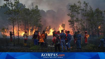 Bencana Karthutla, Anggota DPR: Negara Harus Hadir Secara Maksimal
