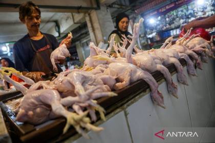BPS: Inflasi bulanan jadi 0,21 persen pada Agustus 2026